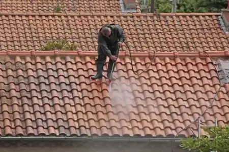 Nettoyage et démoussage de toiture à Blasimon à Blasimon